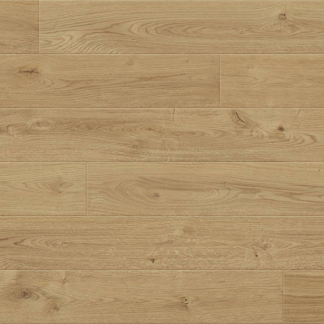 Oak Torino