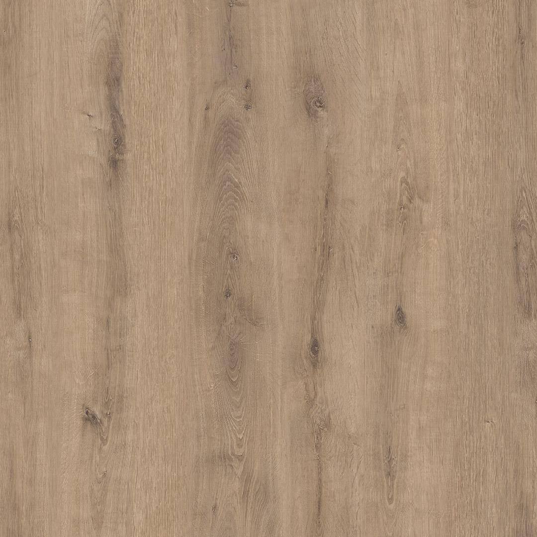 Sakarya Oak