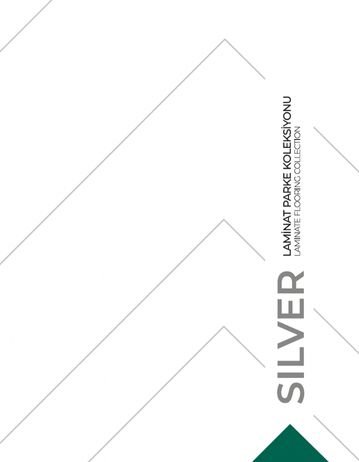 Çamsan Silver