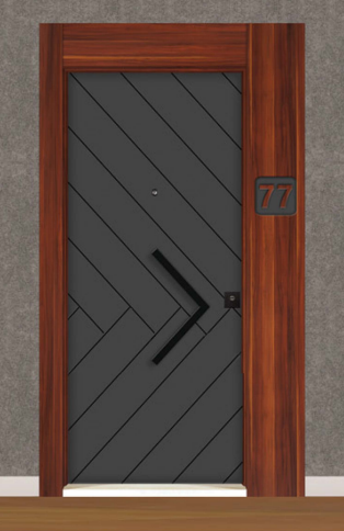 DecoDoor Premium Seri 1001 Çelik Kapı Antrasit-Elma