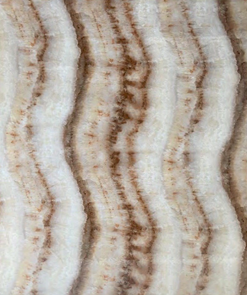 Decohan PVC Mermer Duvar Paneli KL8157